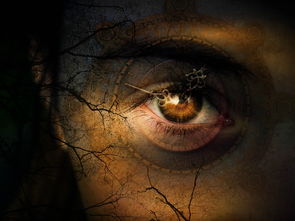 人工代孕拉拉NT检查的最佳时间